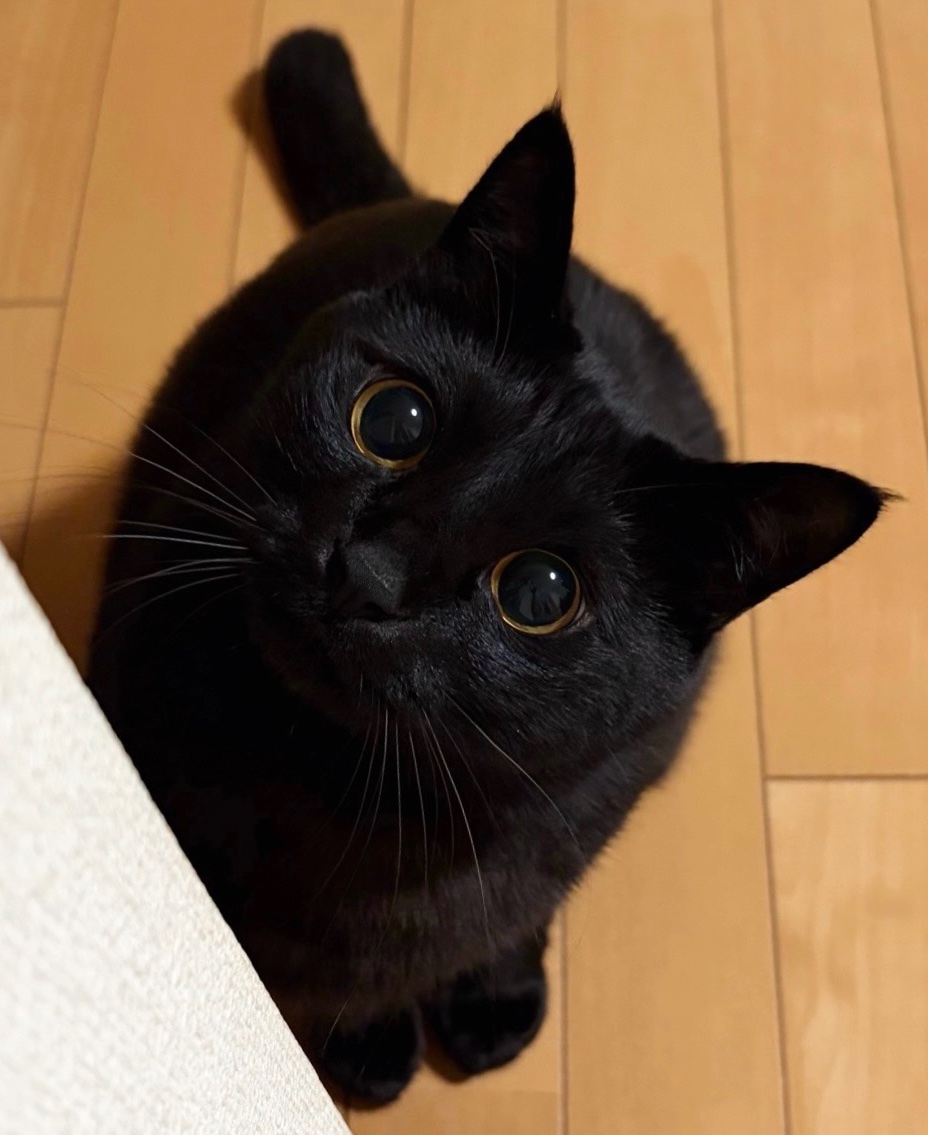 うに3才 tweet media