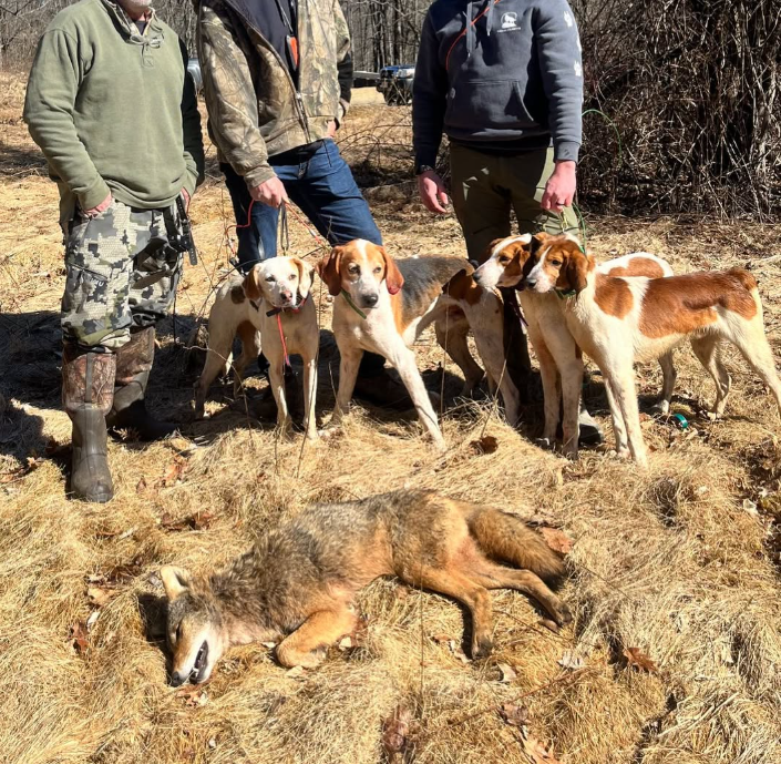 NH Citizens Against Recreational Trapping tweet media