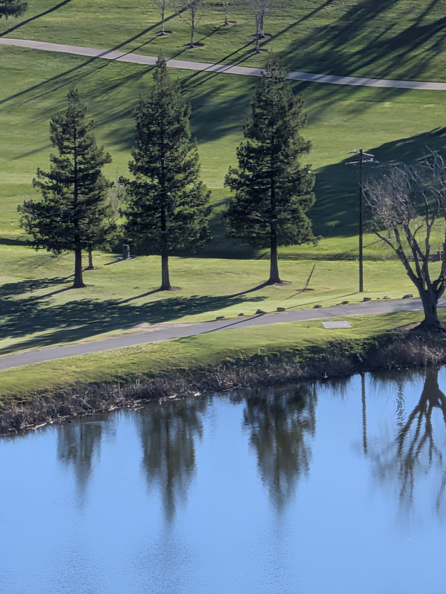 Mahesh Sathiamoorthy tweet media