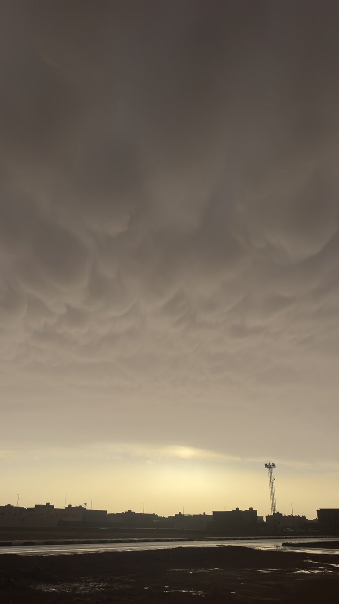 خطاب الفريح tweet media