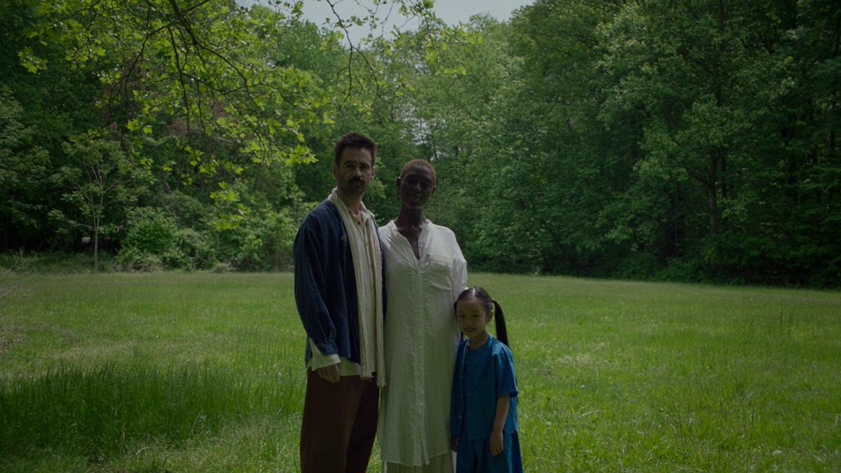 Cinema Solace tweet media