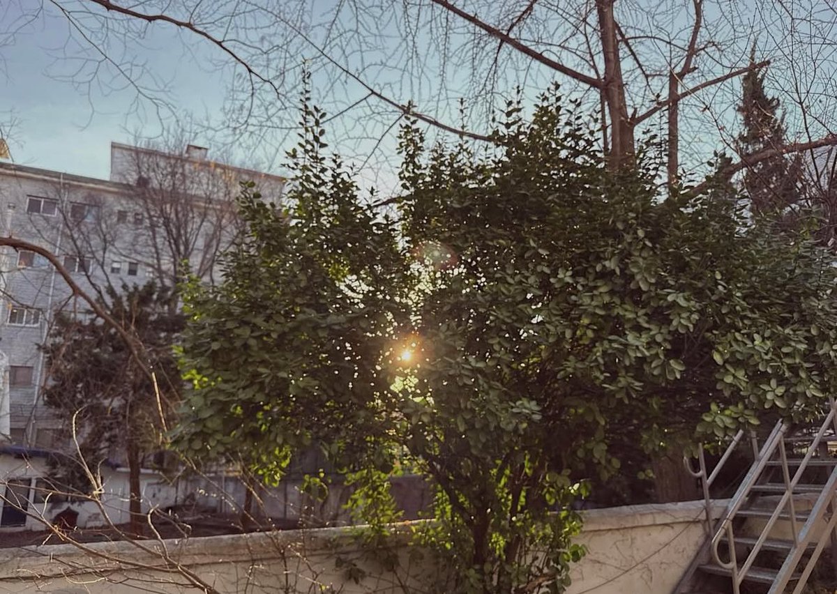 hanbin archive tweet media