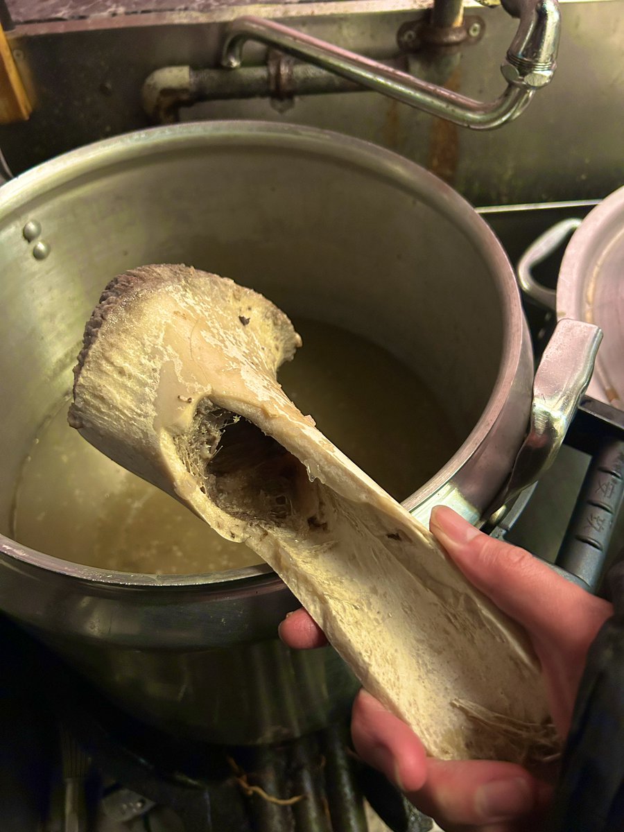 おうち麺TV. tweet media