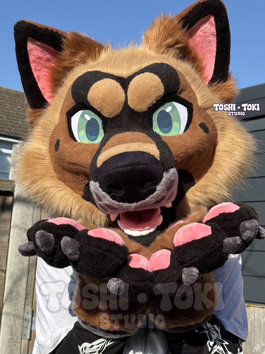 🏙️ Toshi Toki 🏙️ tweet media