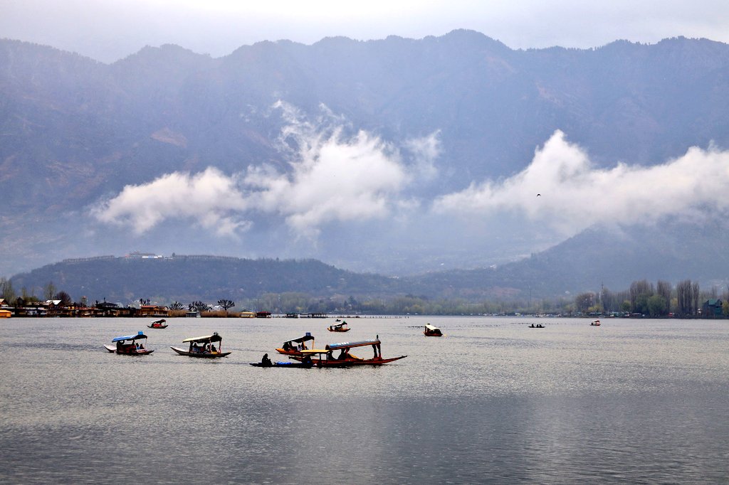 Basit Zargar (باسط) tweet media