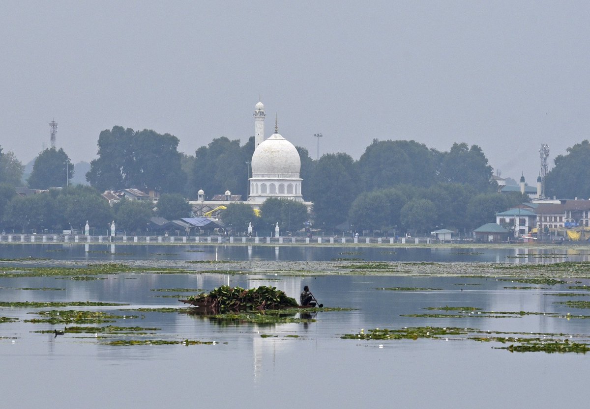 Basit Zargar (باسط) tweet media