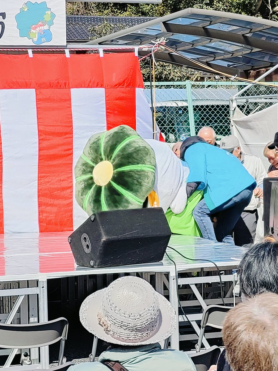 2kaiU's tweet photo. 稲敷いなのすけ 
階段を上がれず、転んじゃってハラハラ。でも、そのおかげで帽子がカボチャだったことに気づきました。かわいかったー🥰 https://t.co/EUdmkPZ8Oh