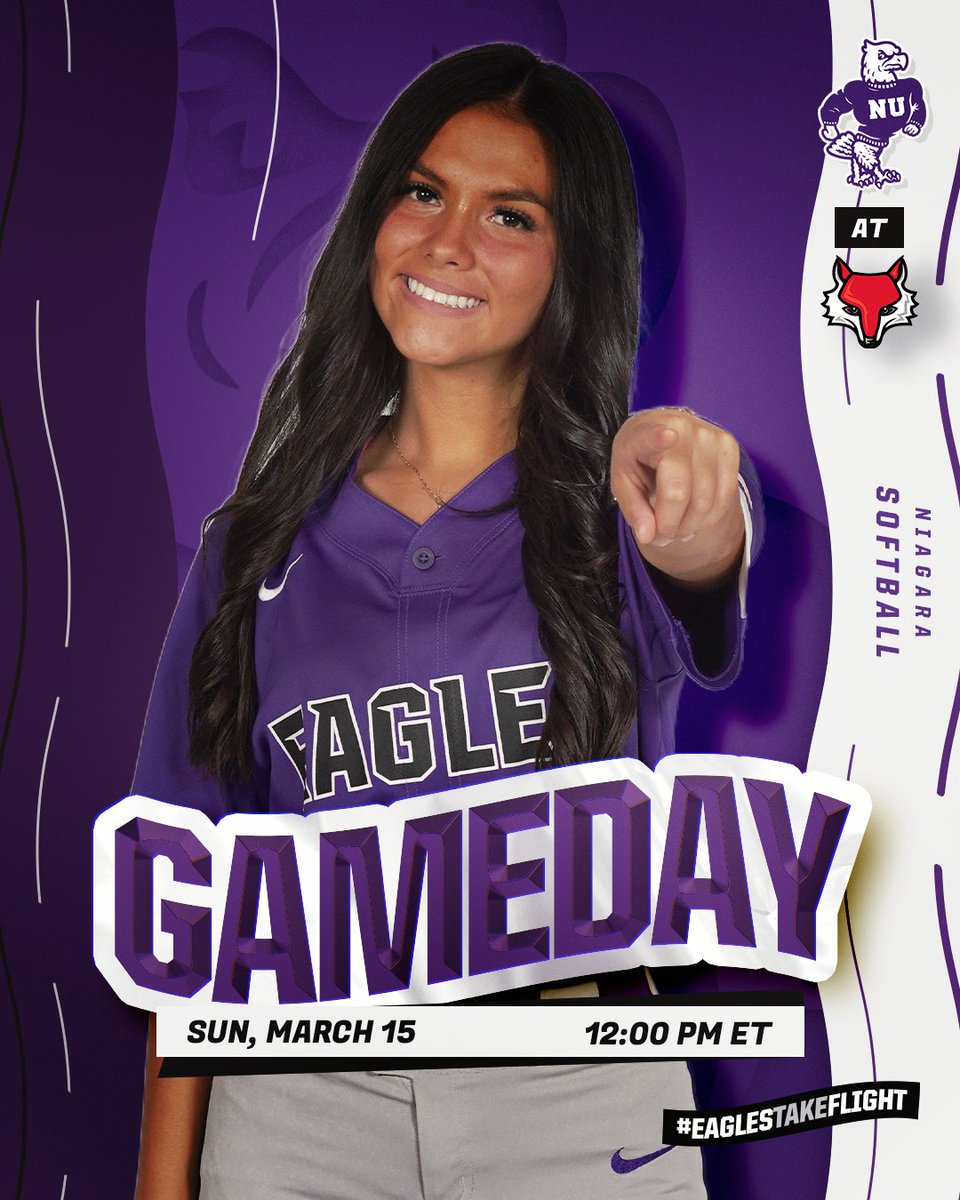 Niagara Softball tweet media