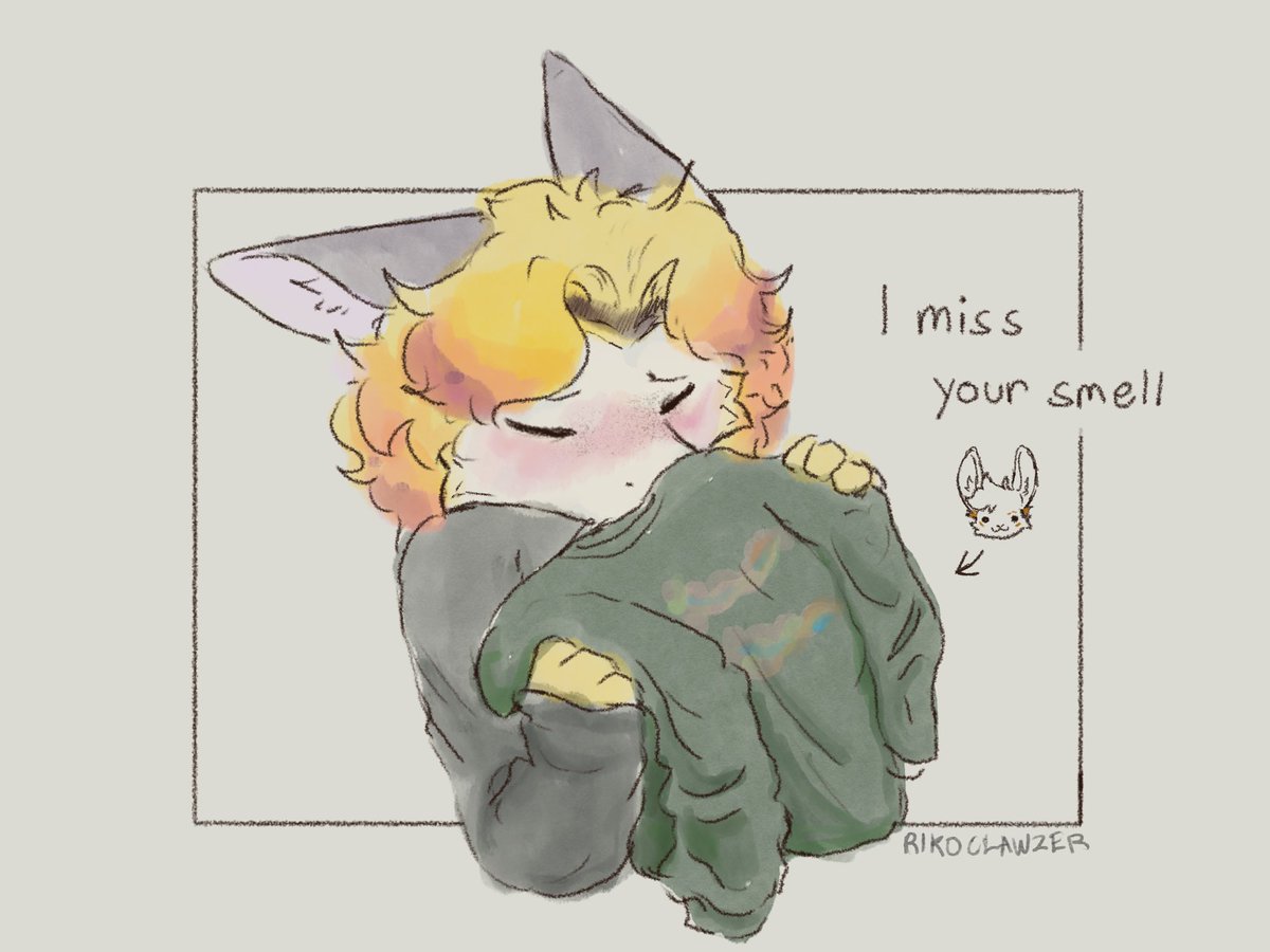 Riko☀️ tweet media