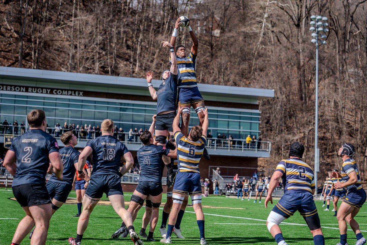 Michael K. Heit tweet media