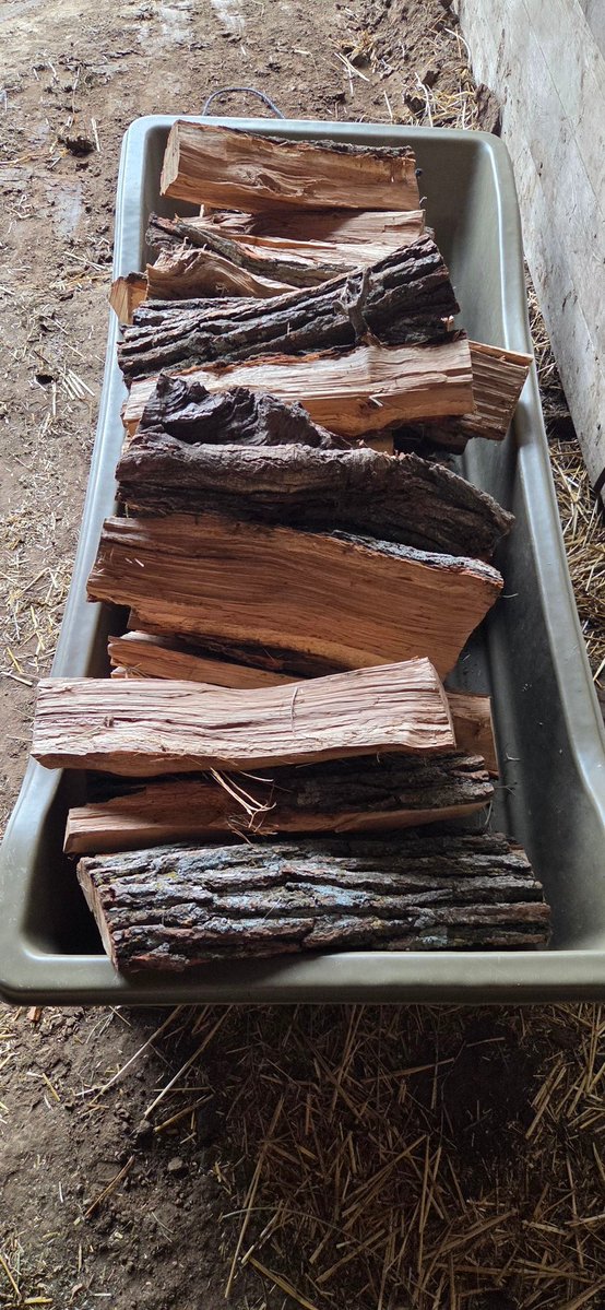 Ryan Heiniger tweet media