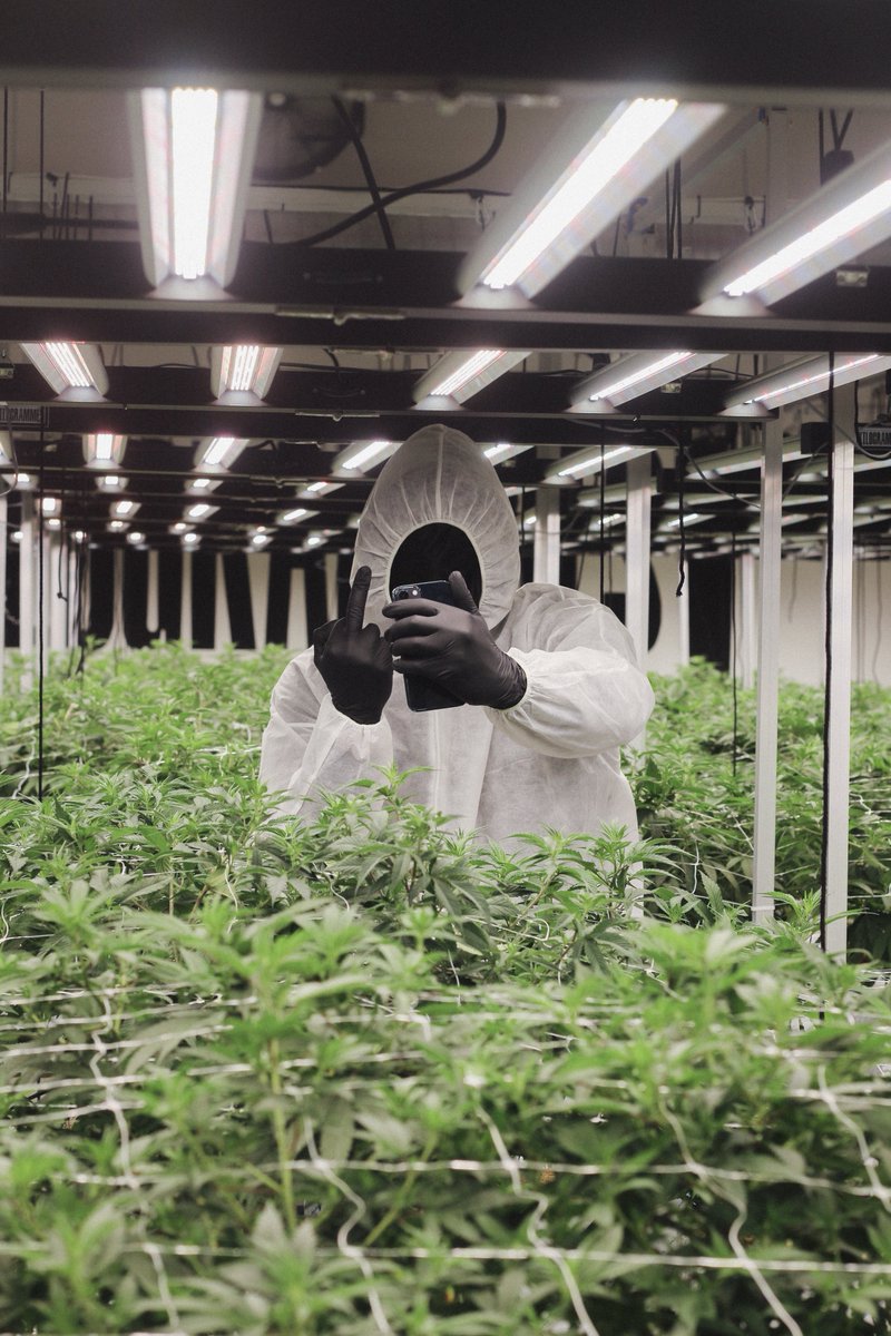 KILOGRAMMES tweet media