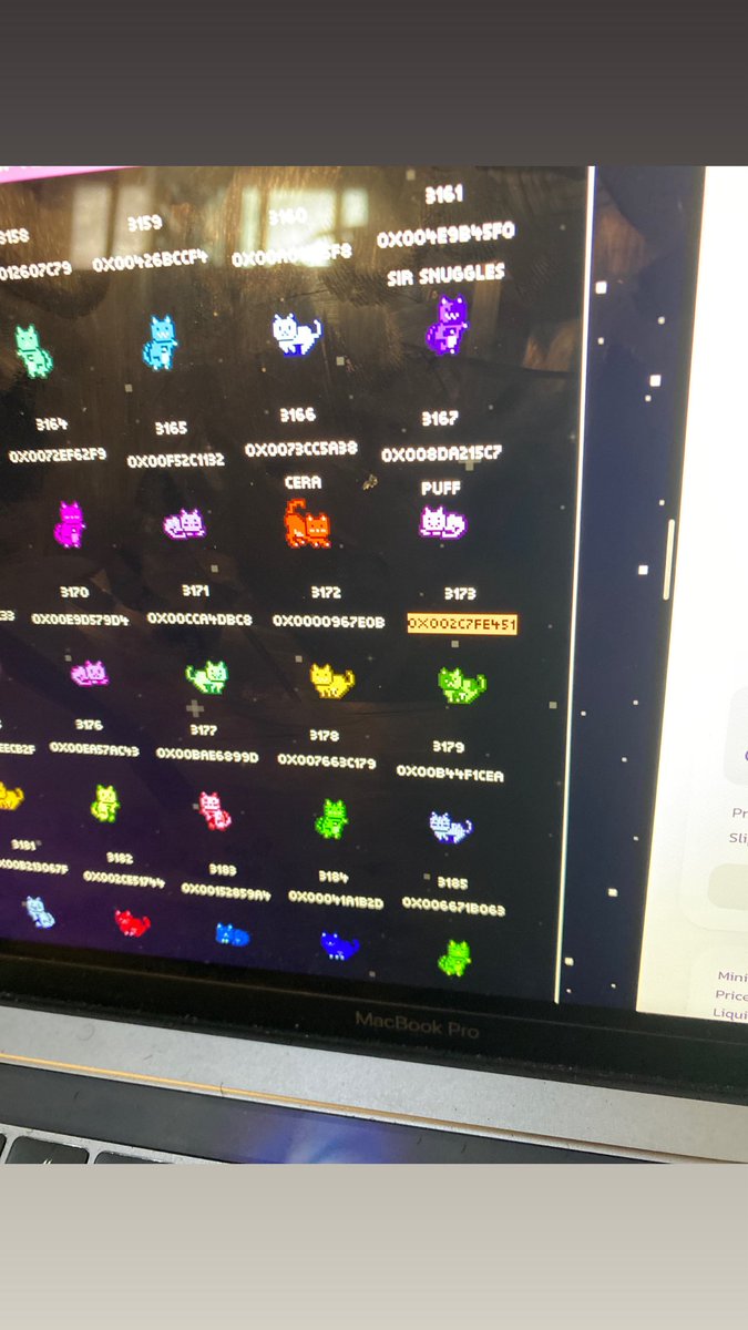 Eezzy 🧸 tweet media