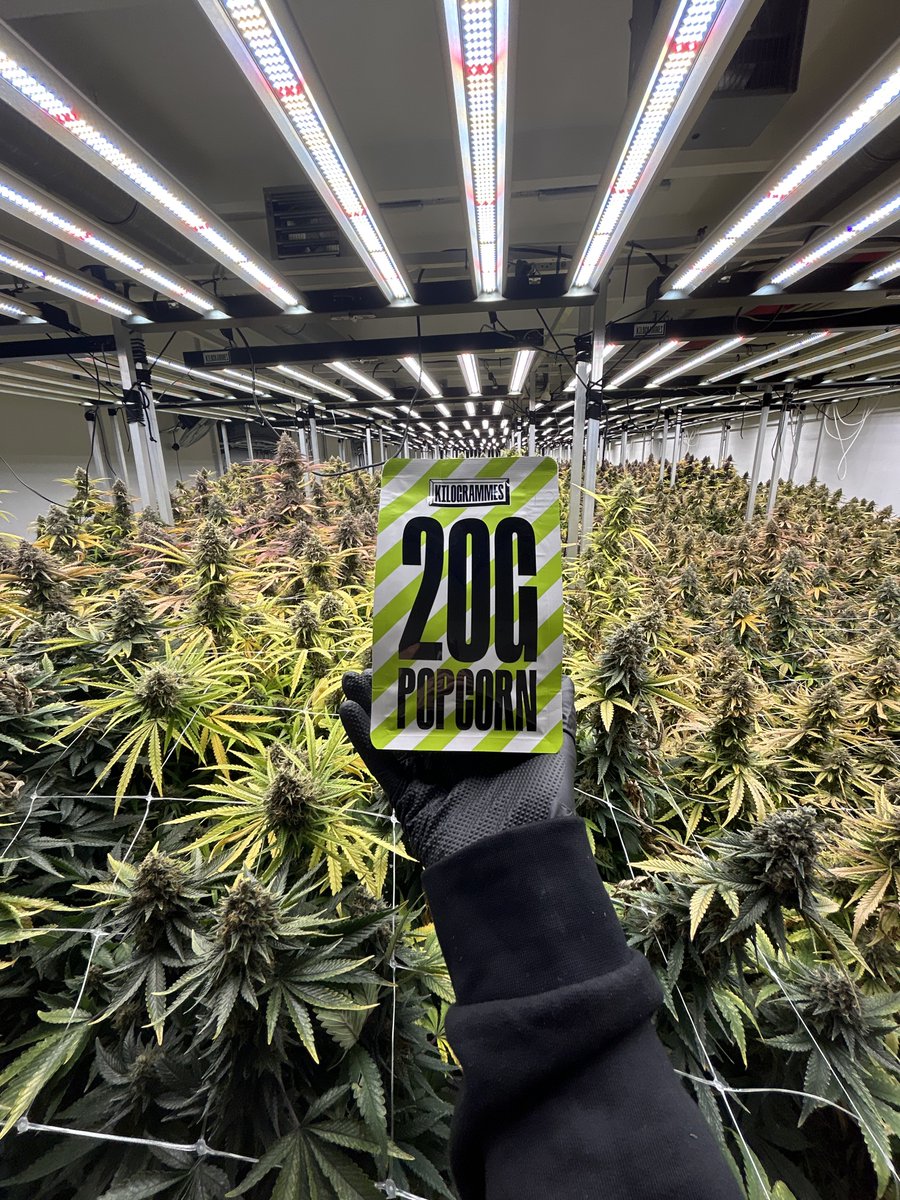 KILOGRAMMES tweet media