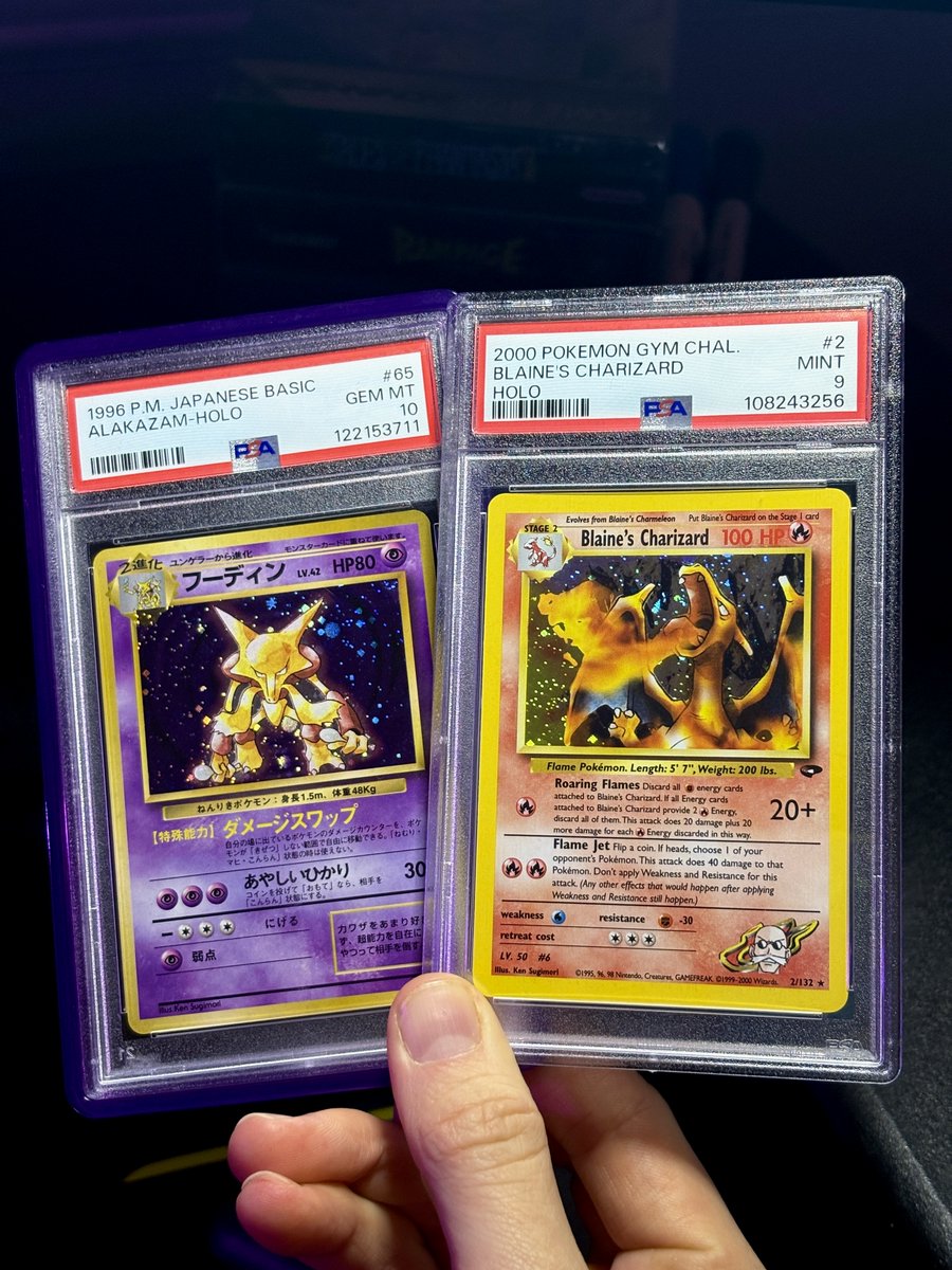 DachshundWizard 🧙‍♂️ tweet media