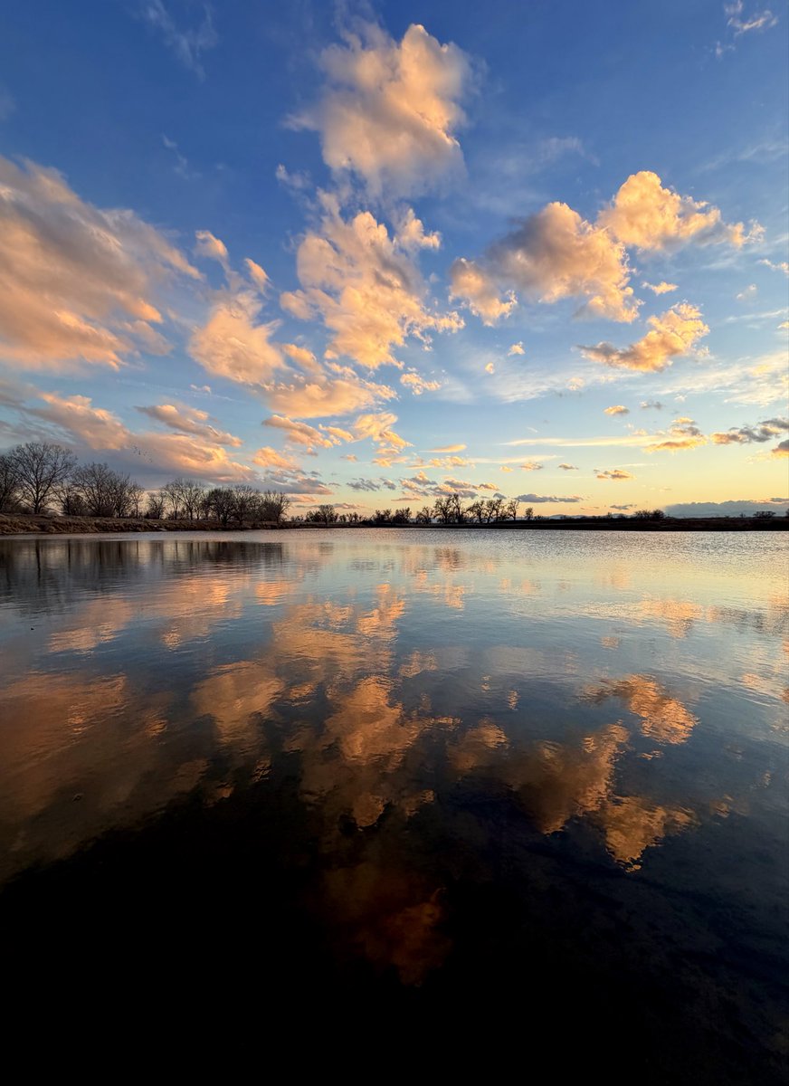 D Miller tweet media