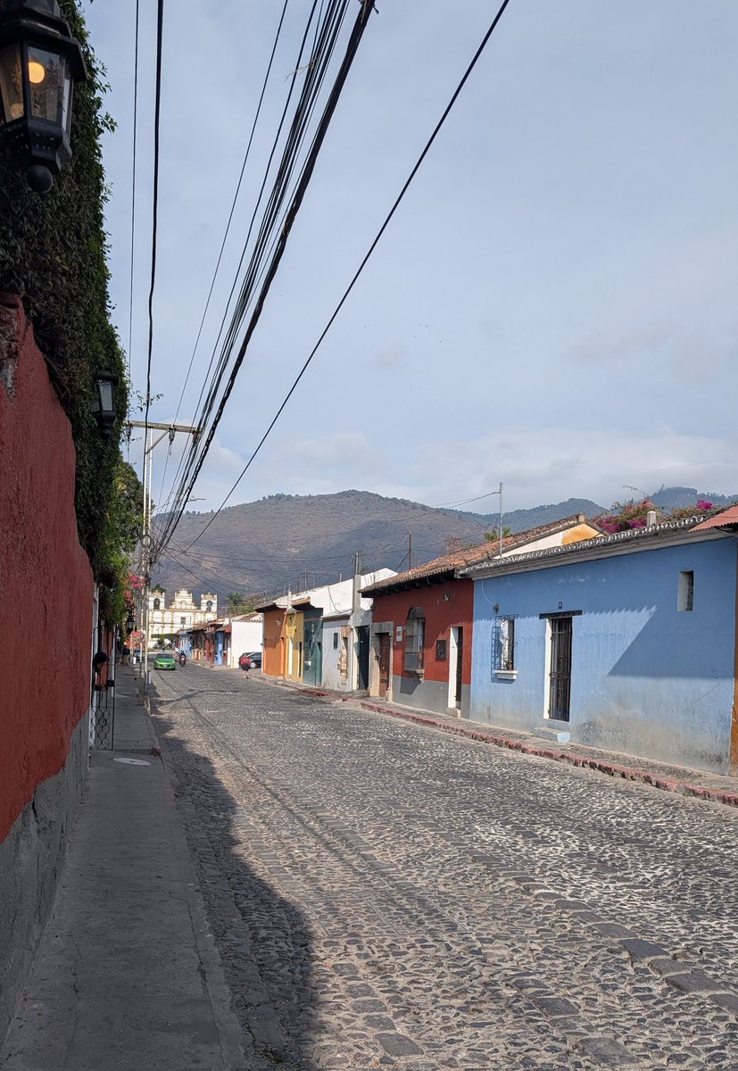 My Latin Life 🌴 tweet media