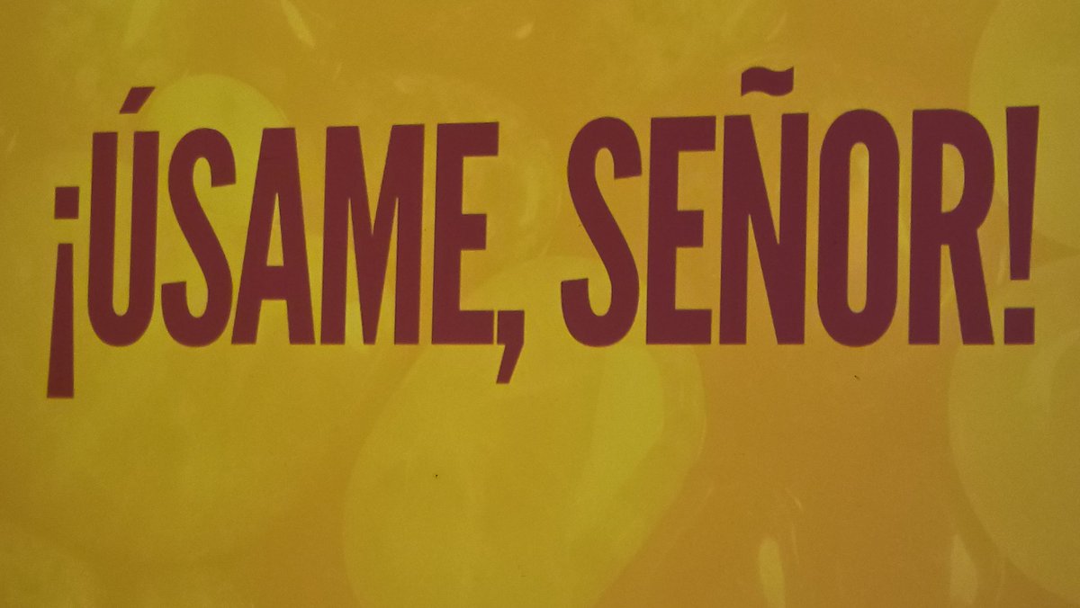 Hambo 🇵🇷 tweet media