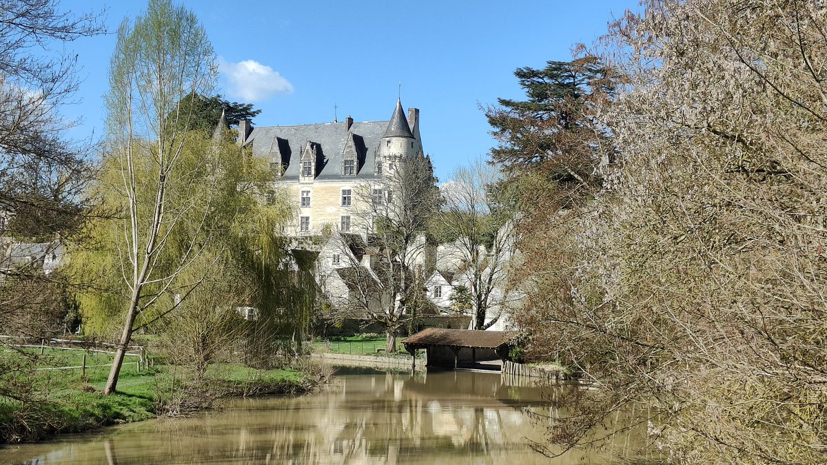 Andre Sobas tweet media