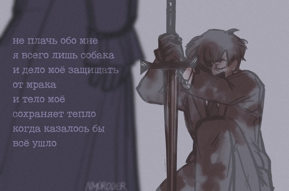 nmoroder 🐈 tweet media