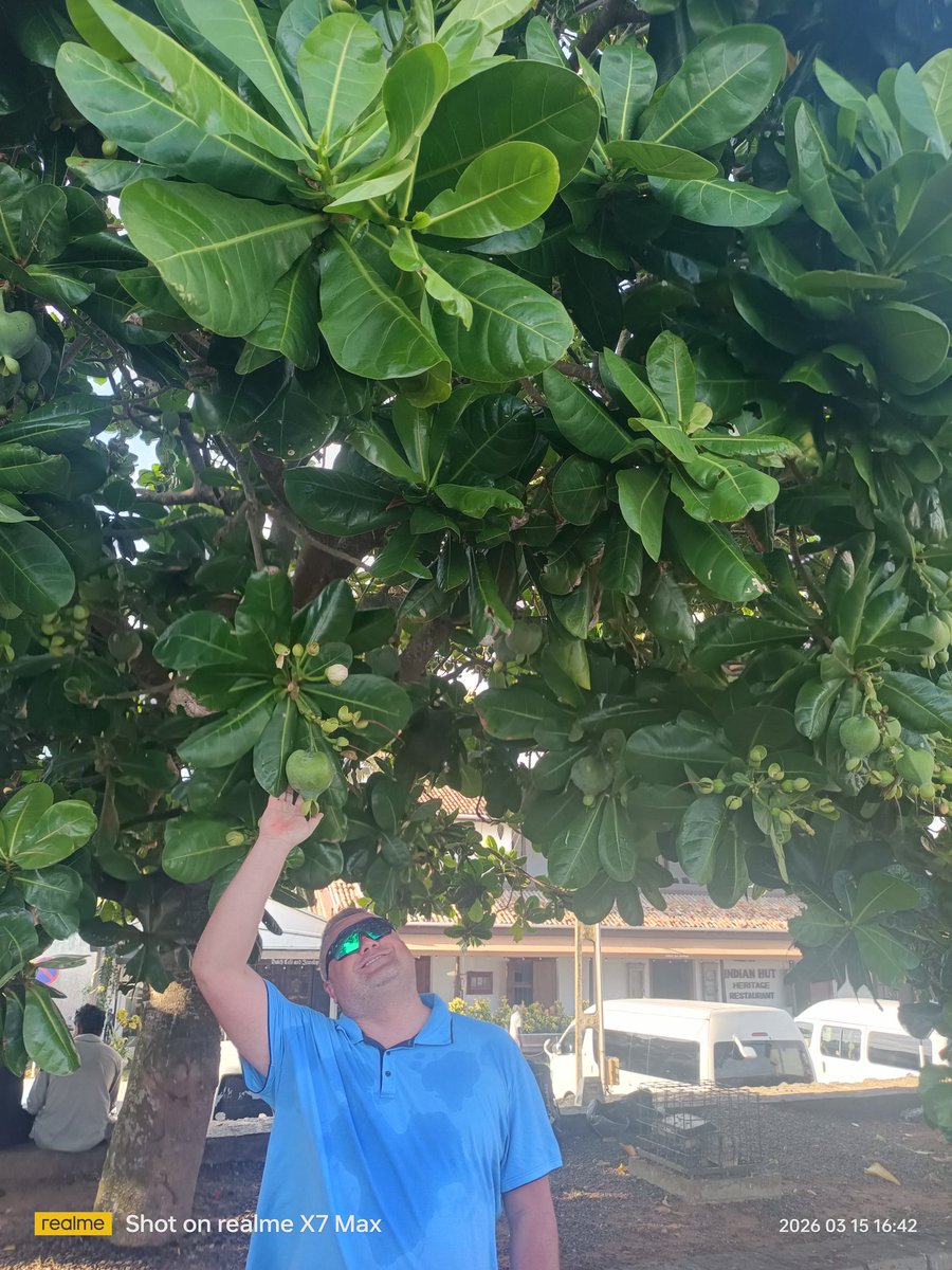 Алексей Попенков tweet media