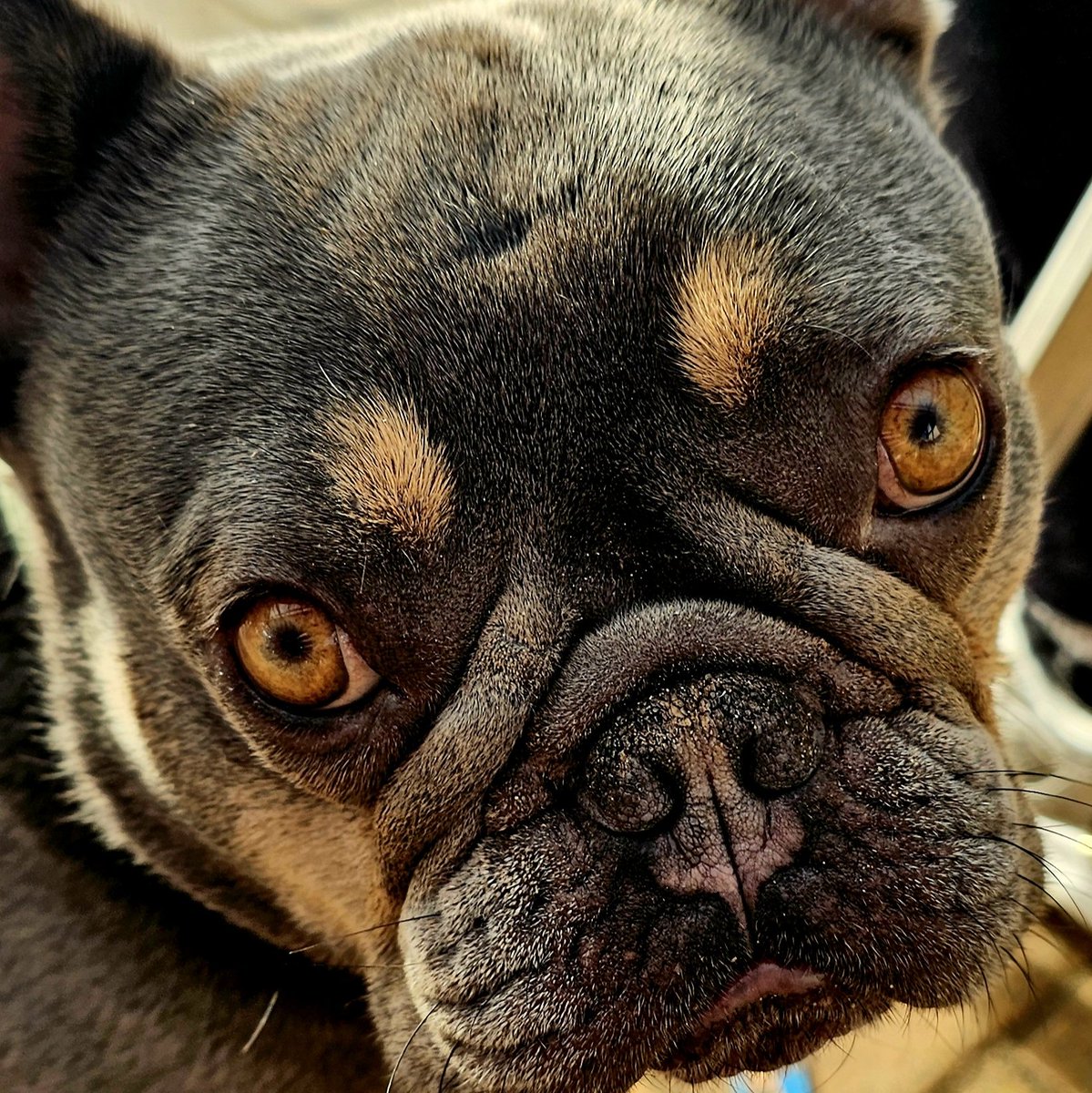 Vale Life tweet media