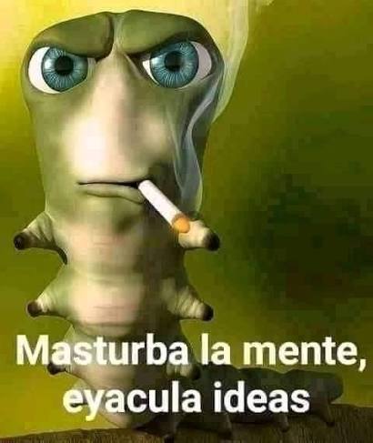 Bro literalmente dijo