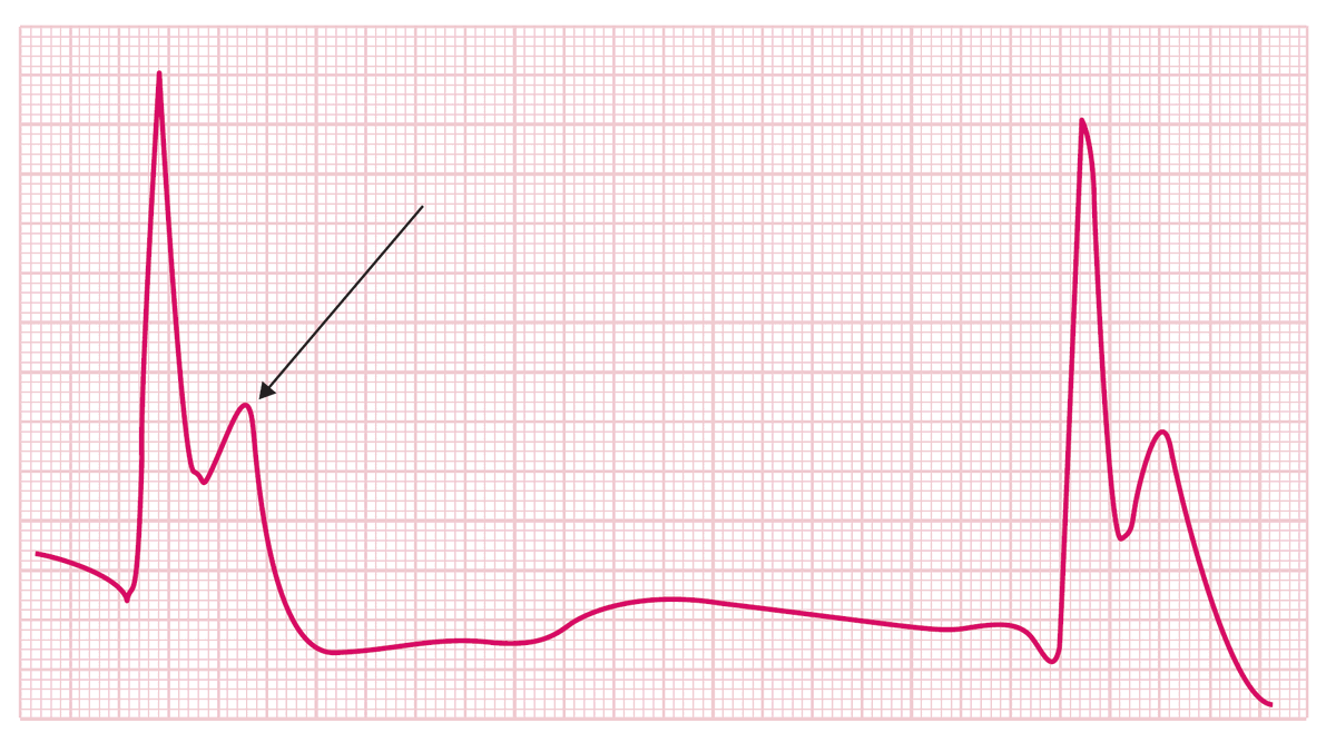 Dr. AK 🇮🇳 tweet media