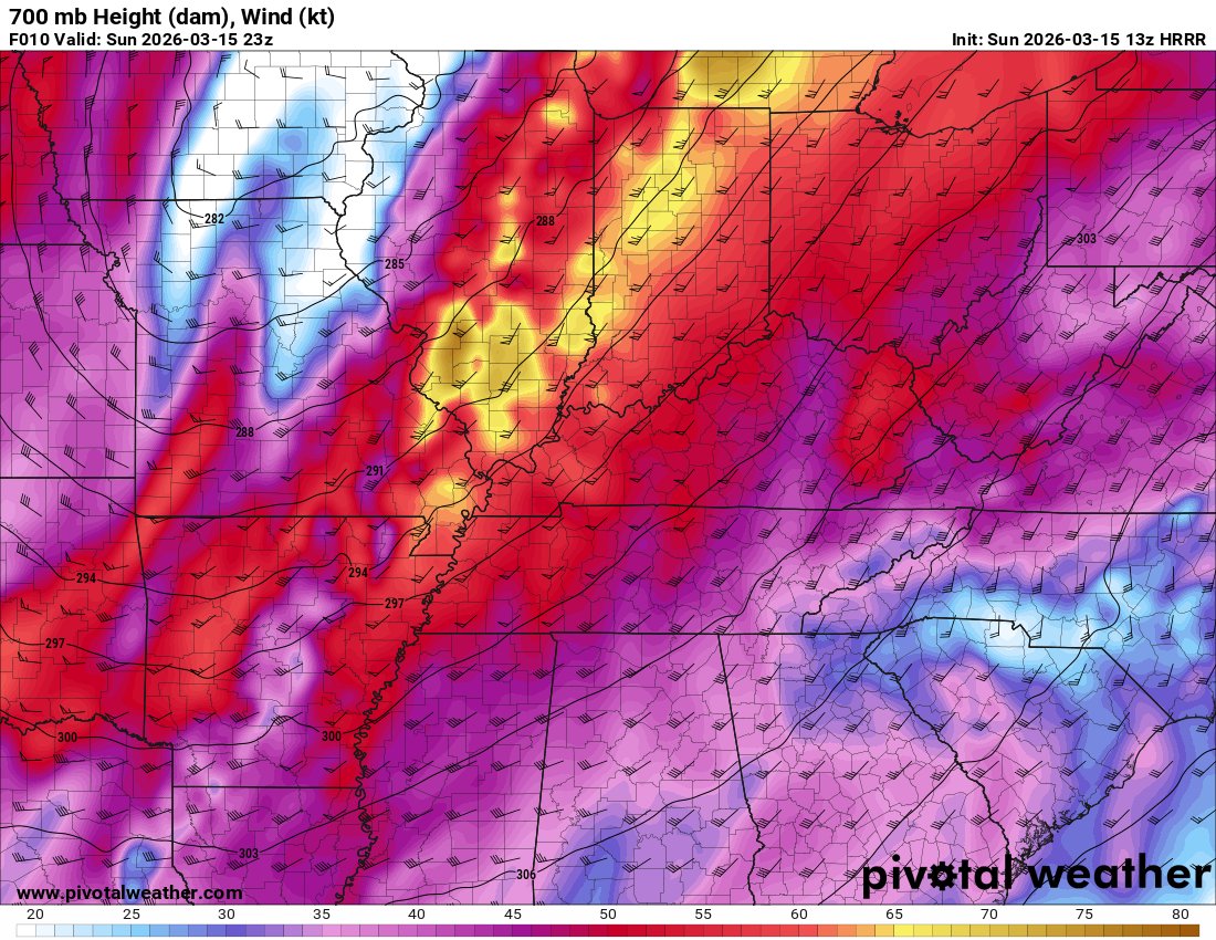 Sekai Chandra tweet media