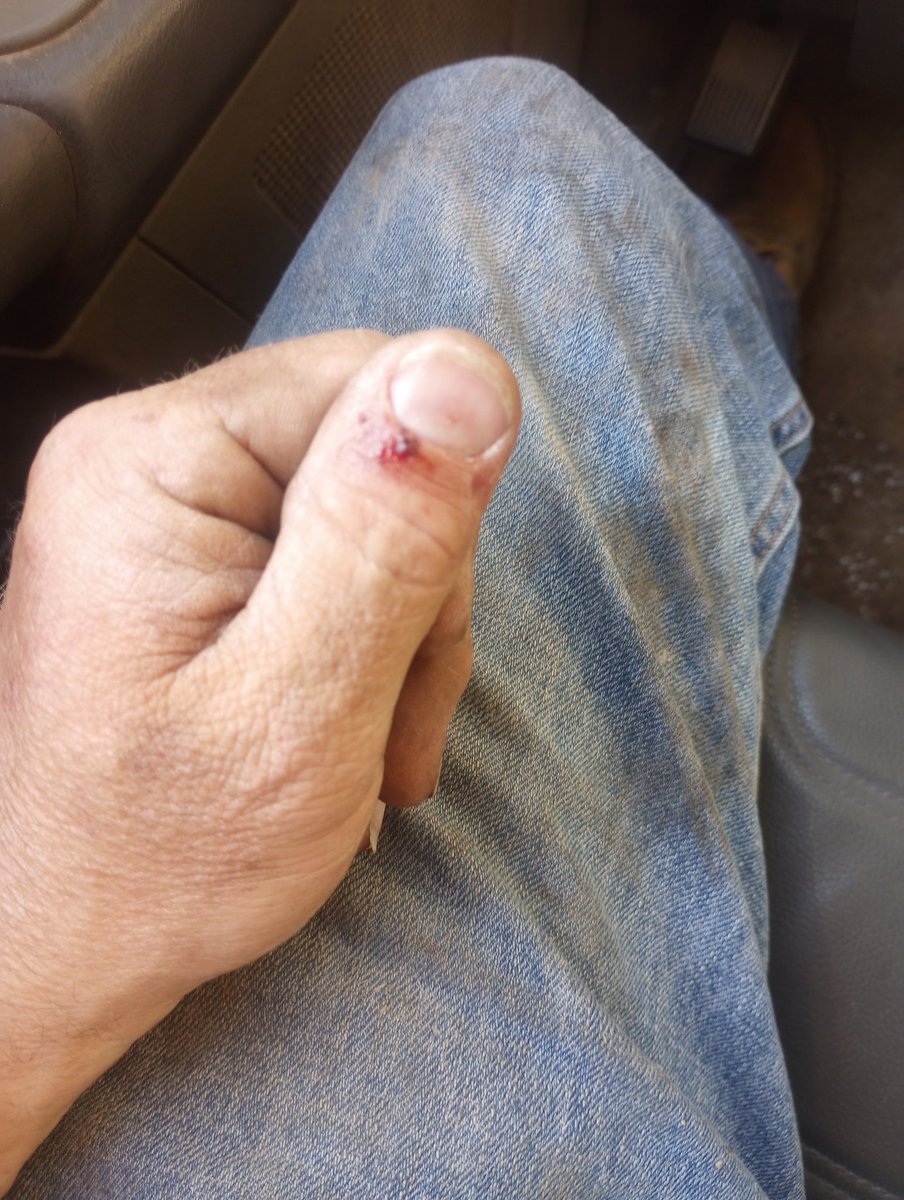 Farm Boy tweet media