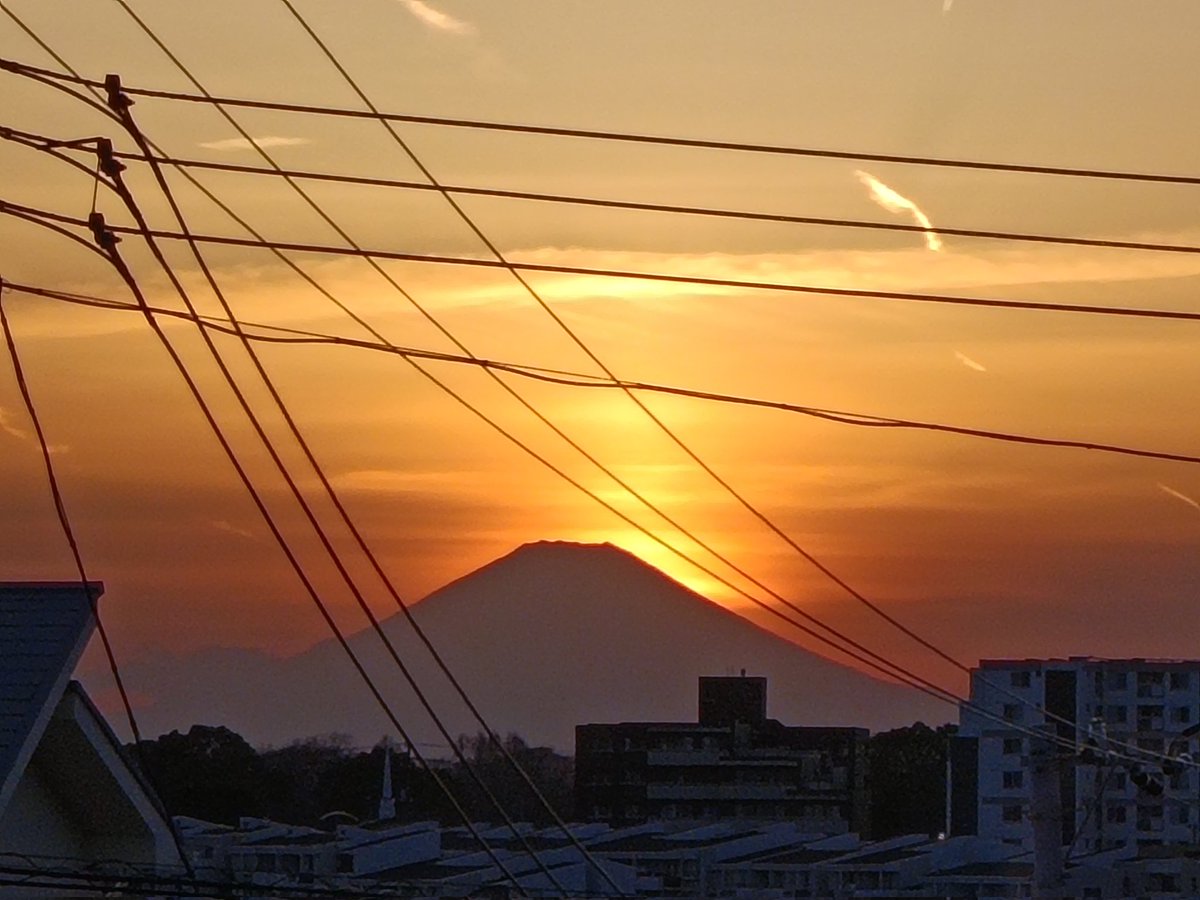 Chiaki Umeda　梅田千晶　4/26M3「Yataume Harp」ニ展2Fクー08x tweet media