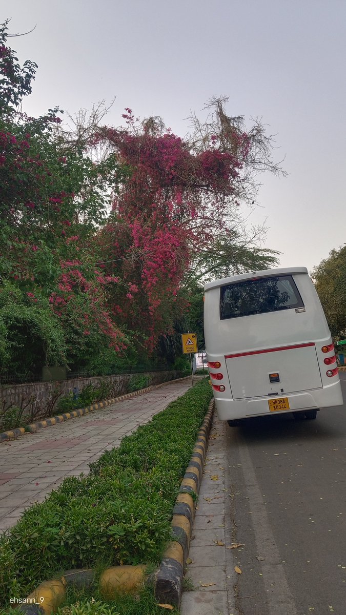 احسان tweet media