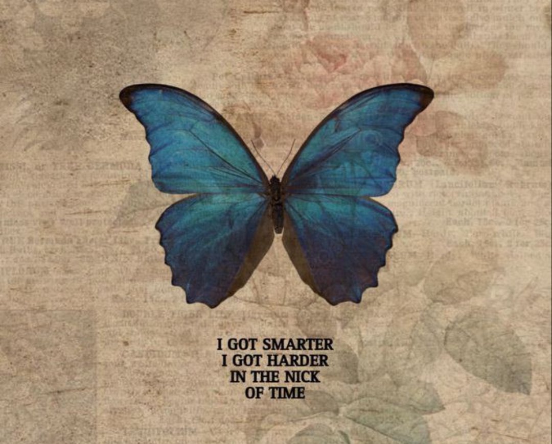 HealingEcho's tweet image. 'Be influential, aware, educated, and strong. Don't settle for just being a pretty face'

#Weirdo