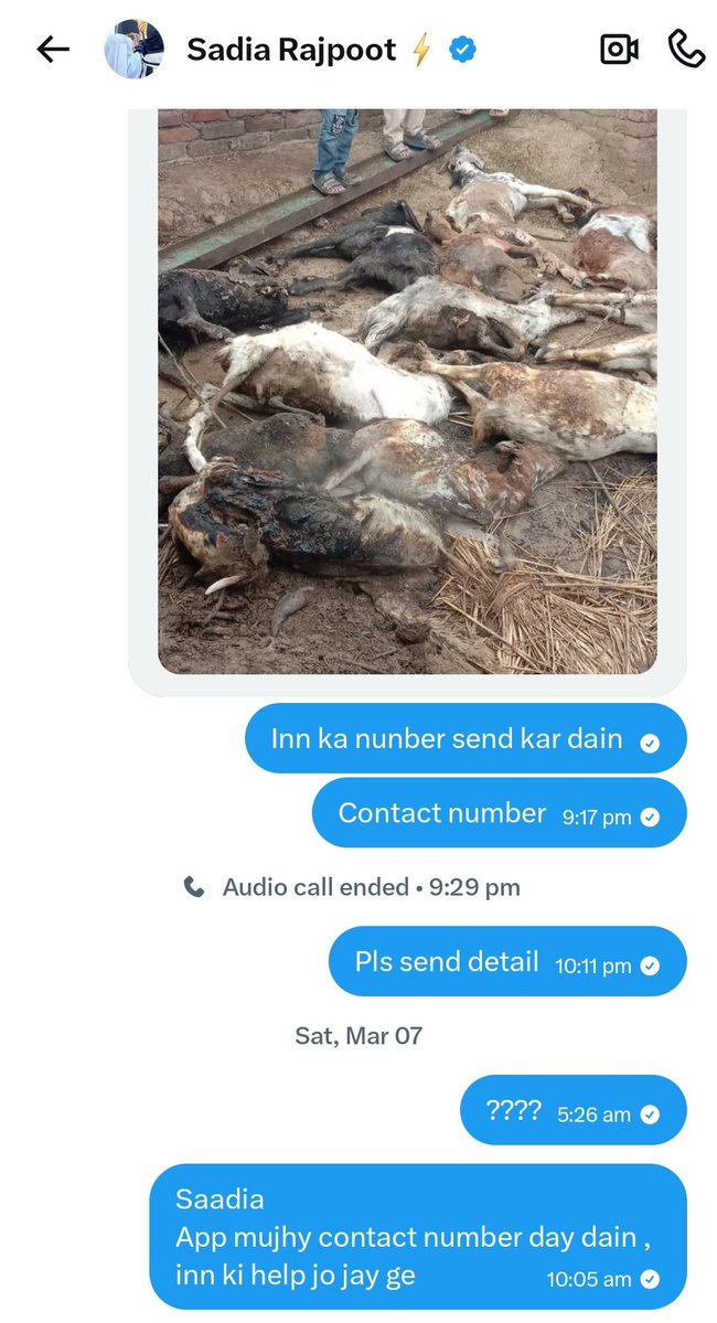 Saima Farooq 🇵🇰 tweet media