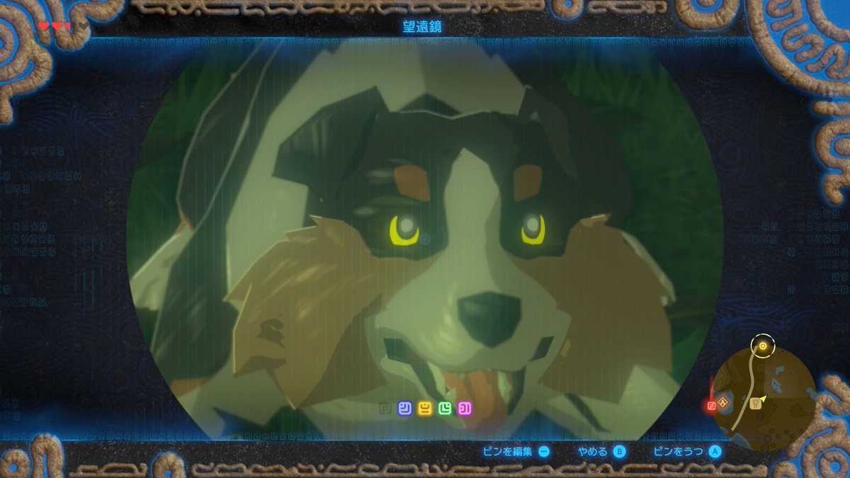 Y. Ito 🌱 tweet media