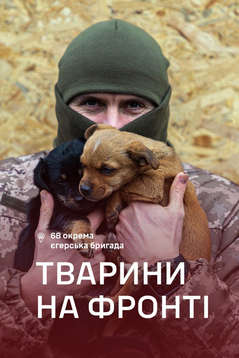 68th Jaeger Brigade tweet media