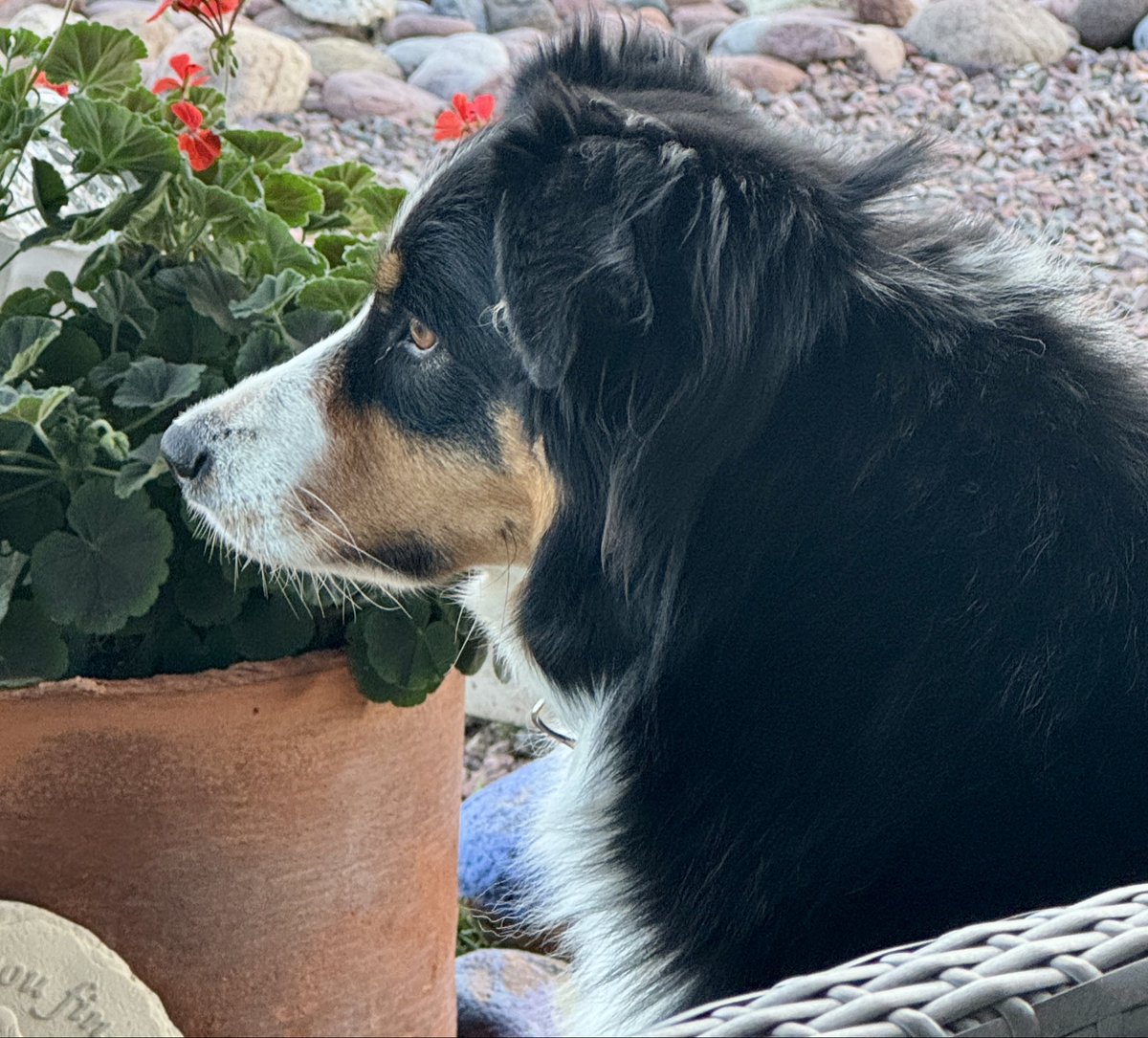 Randy Roberson tweet media