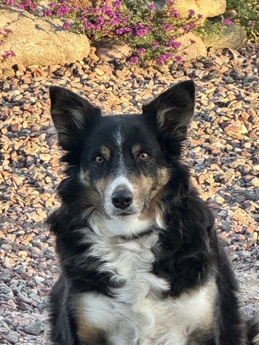 Randy Roberson tweet media