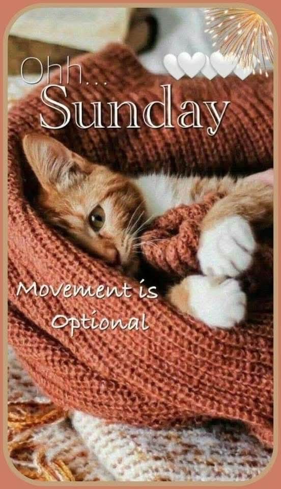 wilewill's tweet photo. Good Morning! Happy Sunday! Relax today, tomorrow is Monday. 😁 
🌞🥱☕😇 https://t.co/Z9vx0QWgPV