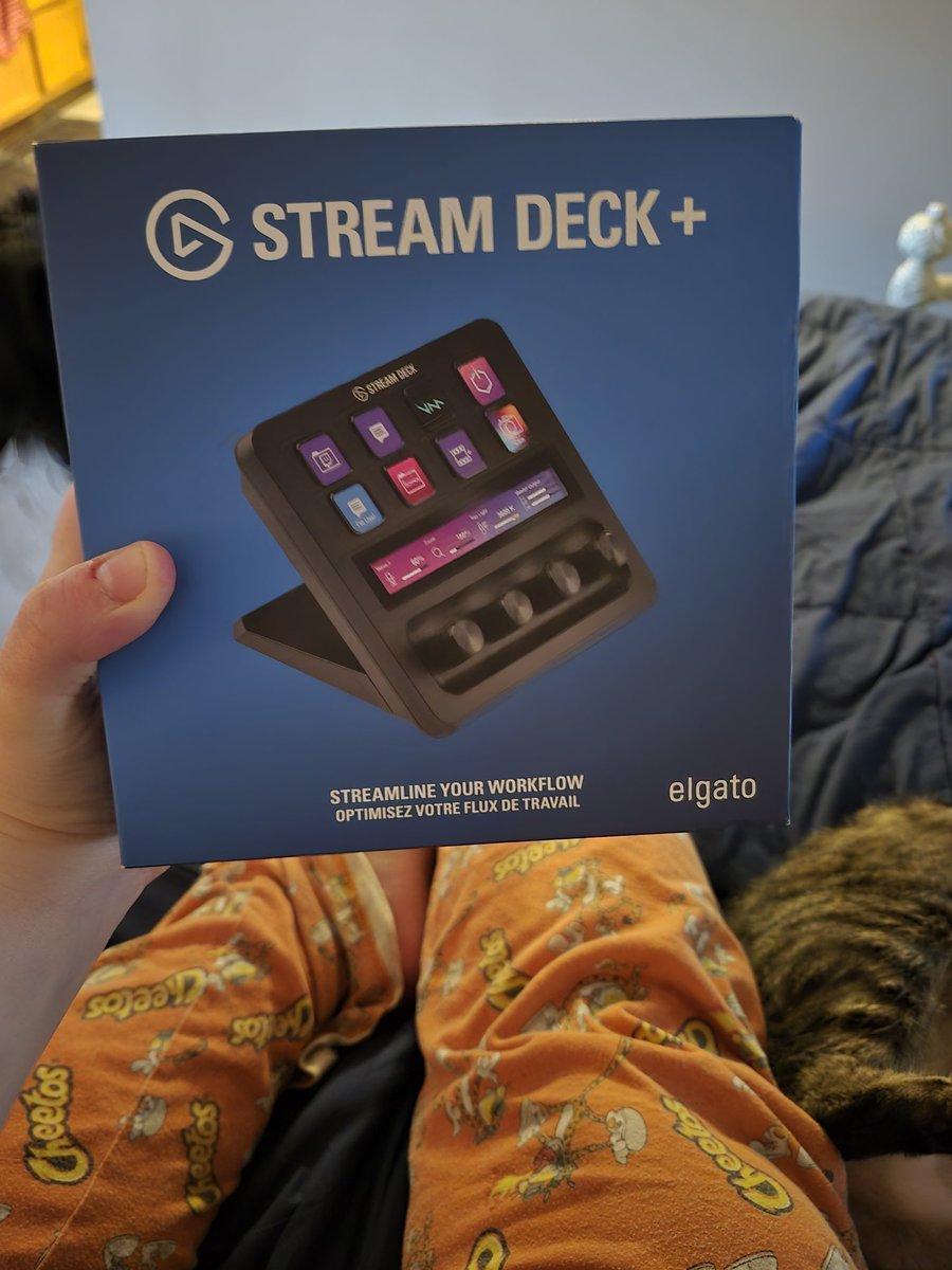 🦇Relly🦇 tweet media