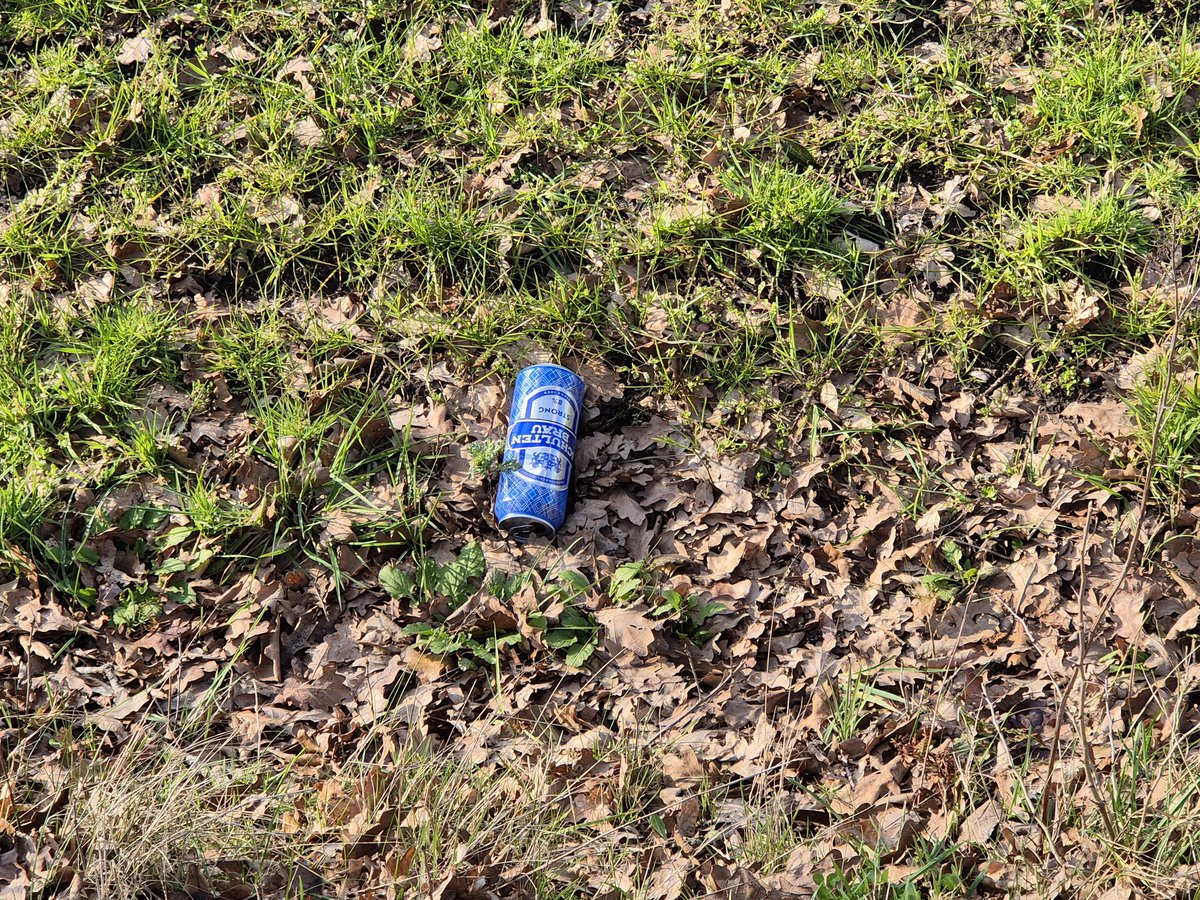 Gerrit Wermink tweet media