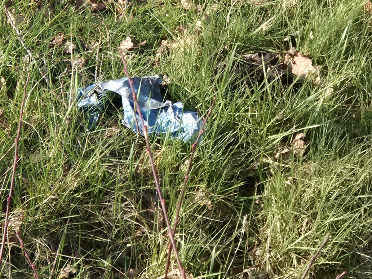 Gerrit Wermink tweet media