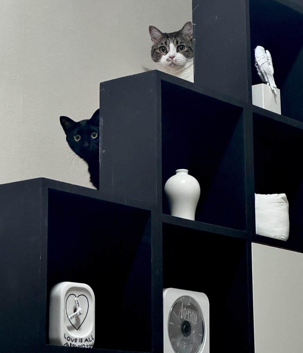 단밤 ✧☾ tweet media