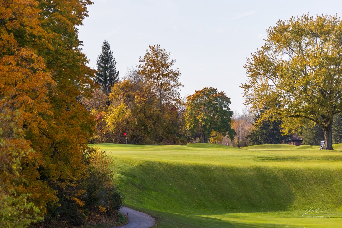 Putt4dough24 tweet media