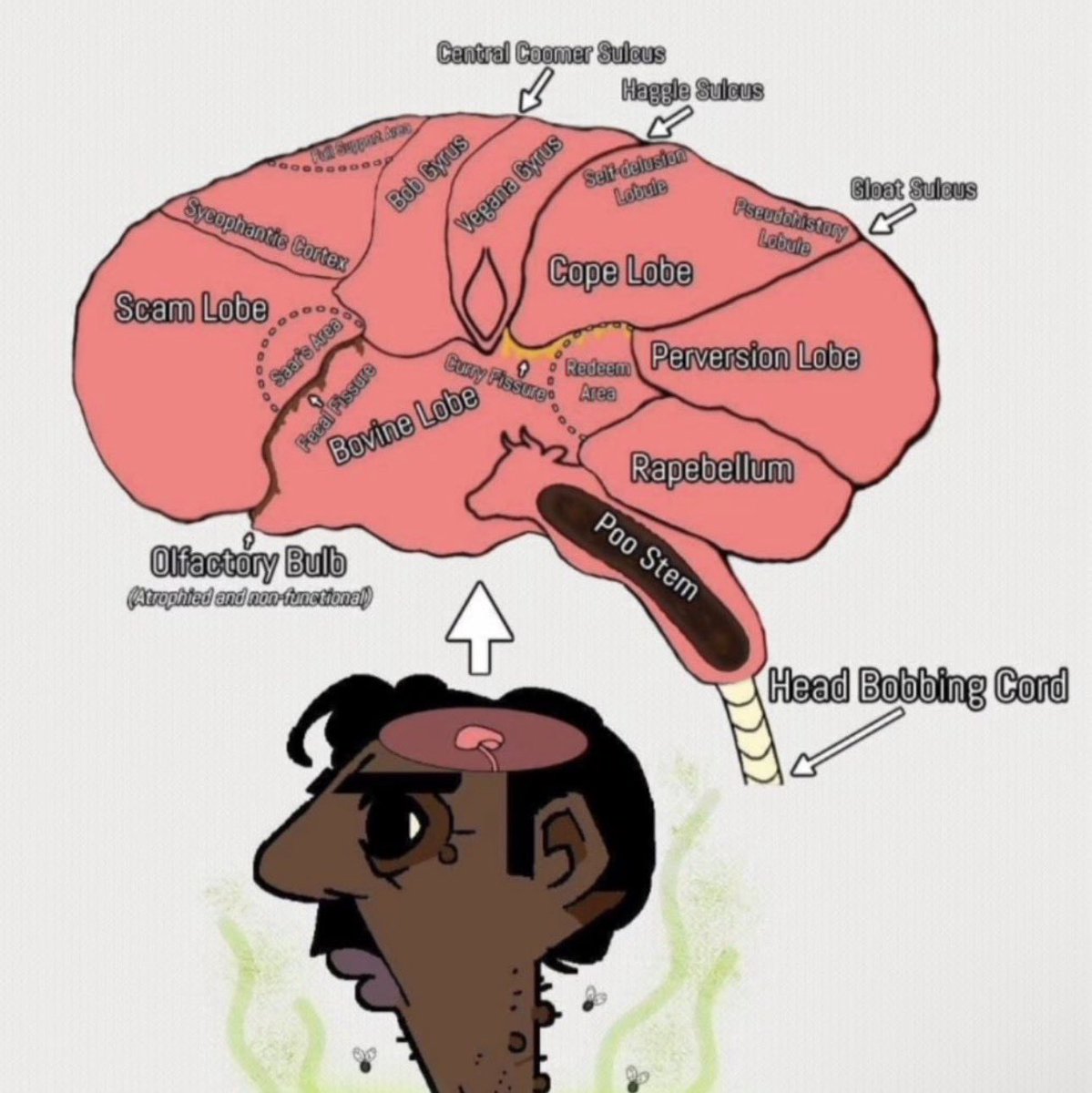 Everything. tweet media