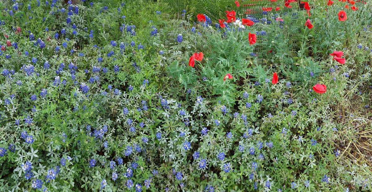 Christopher McQuade tweet media