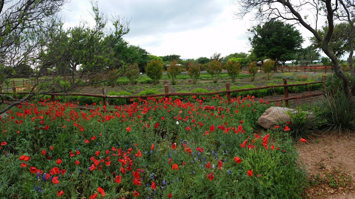 Christopher McQuade tweet media