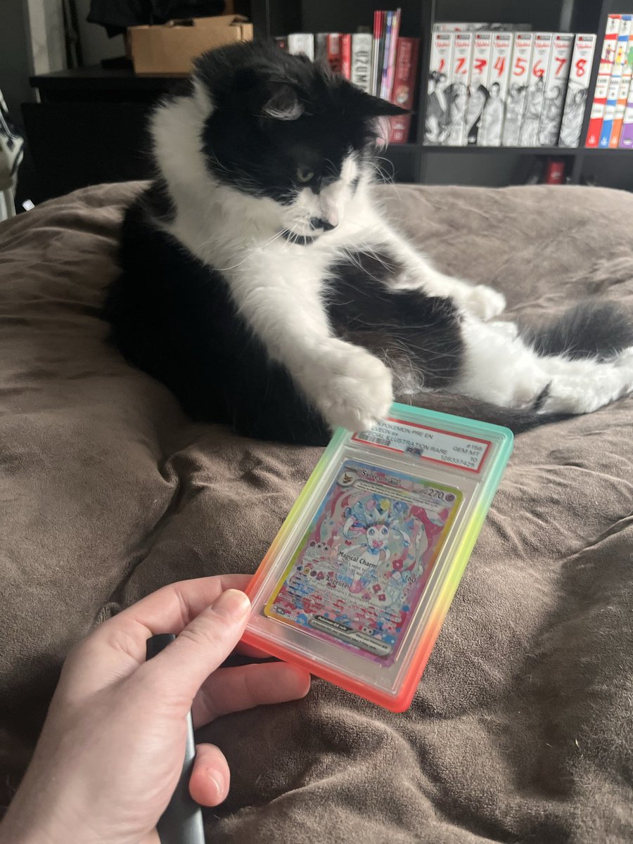 Jive Turkey tweet media