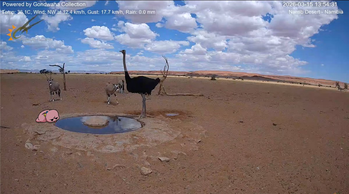 treepXIV tweet media