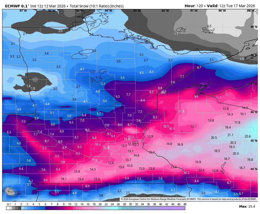 Joe Nelson tweet media